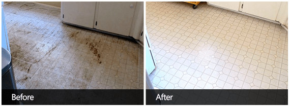 Tile Cleaning Before & After First