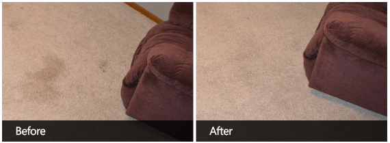 Carpet Cleaning Before & After First