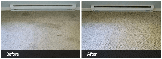 Carpet Cleaning Before & After Third