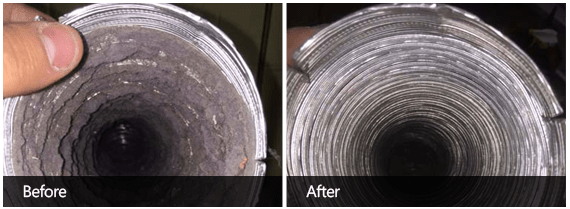 Dryer Vent Cleaning Before & After First