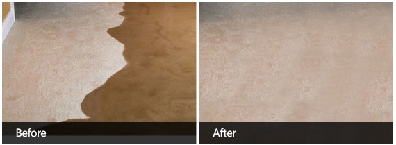 Water Damage Cleaning Before & After Third